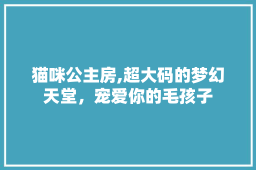 猫咪公主房,超大码的梦幻天堂，宠爱你的毛孩子