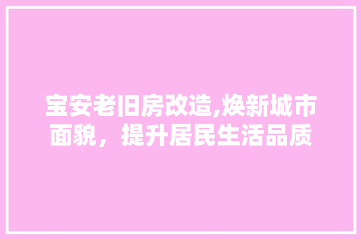 宝安老旧房改造,焕新城市面貌，提升居民生活品质