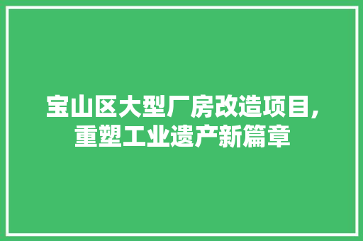 宝山区大型厂房改造项目,重塑工业遗产新篇章