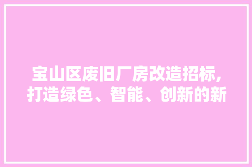 宝山区废旧厂房改造招标,打造绿色、智能、创新的新产业格局