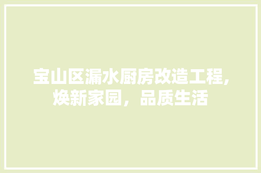 宝山区漏水厨房改造工程,焕新家园，品质生活