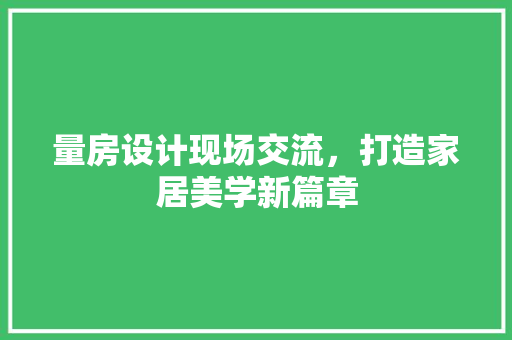 量房设计现场交流，打造家居美学新篇章