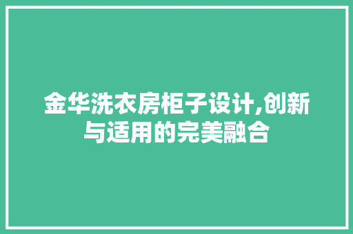 金华洗衣房柜子设计,创新与适用的完美融合
