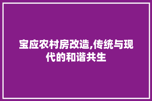 宝应农村房改造,传统与现代的和谐共生