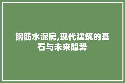 钢筋水泥房,现代建筑的基石与未来趋势