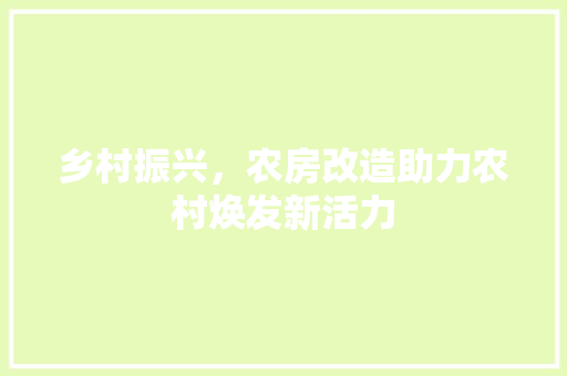 乡村振兴，农房改造助力农村焕发新活力