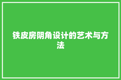 铁皮房阴角设计的艺术与方法