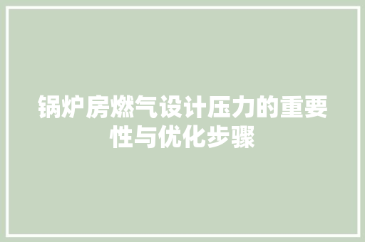 锅炉房燃气设计压力的重要性与优化步骤