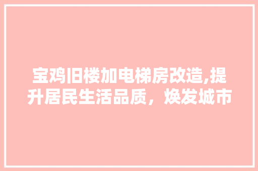 宝鸡旧楼加电梯房改造,提升居民生活品质，焕发城市新活力
