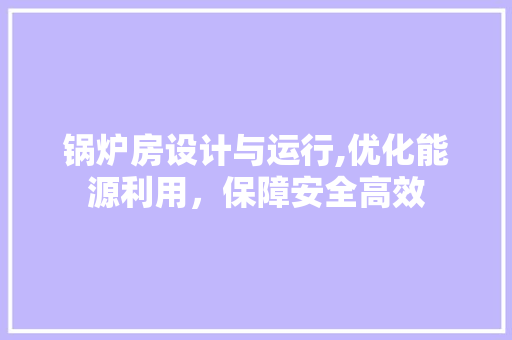 锅炉房设计与运行,优化能源利用，保障安全高效