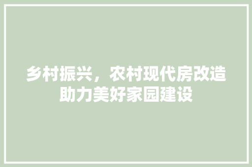 乡村振兴，农村现代房改造助力美好家园建设