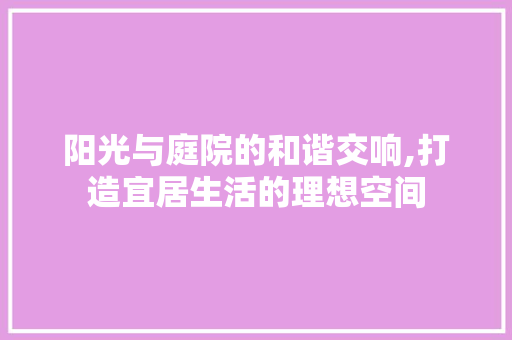 阳光与庭院的和谐交响,打造宜居生活的理想空间 墙面装饰