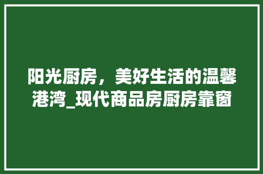 阳光厨房，美好生活的温馨港湾_现代商品房厨房靠窗设计的魅力与智慧