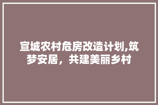 宣城农村危房改造计划,筑梦安居，共建美丽乡村