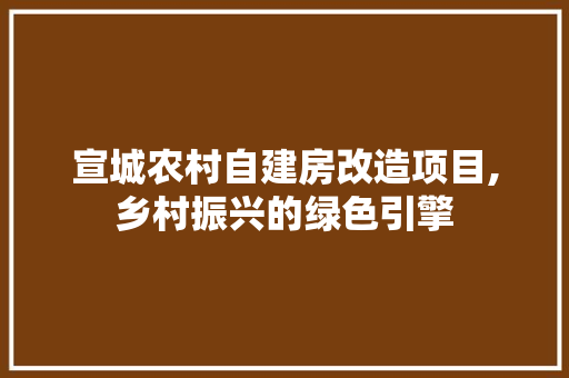 宣城农村自建房改造项目,乡村振兴的绿色引擎