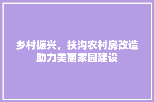 乡村振兴，扶沟农村房改造助力美丽家园建设