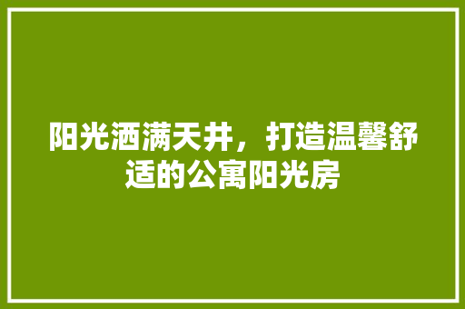 阳光洒满天井，打造温馨舒适的公寓阳光房