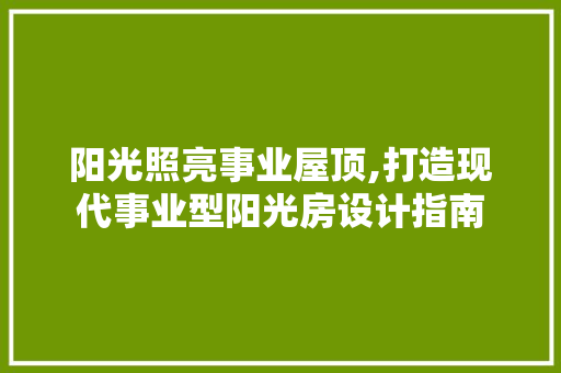 阳光照亮事业屋顶,打造现代事业型阳光房设计指南 装修材料