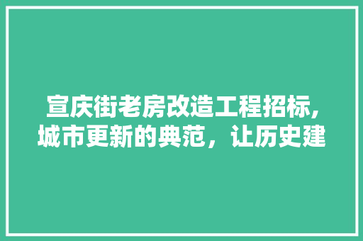 宣庆街老房改造工程招标,城市更新的典范，让历史建筑焕发新生