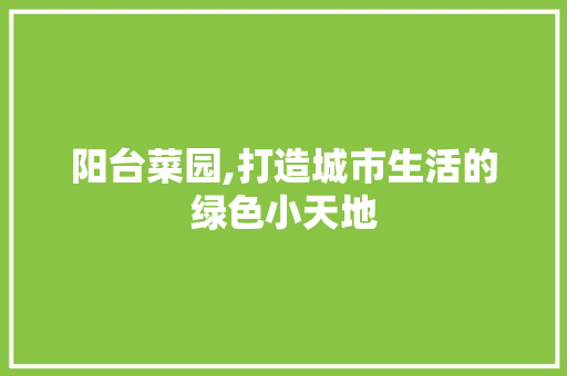 阳台菜园,打造城市生活的绿色小天地 装修攻略