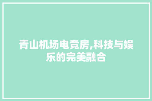 青山机场电竞房,科技与娱乐的完美融合