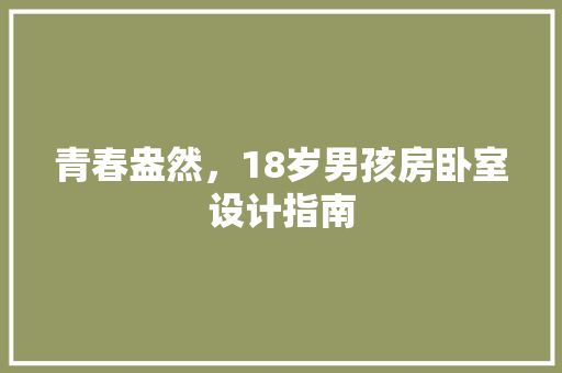 青春盎然，18岁男孩房卧室设计指南