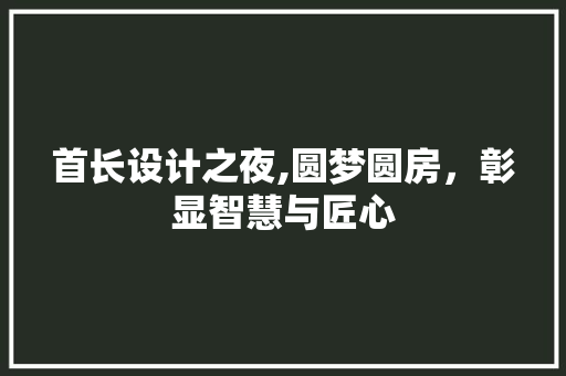 首长设计之夜,圆梦圆房，彰显智慧与匠心