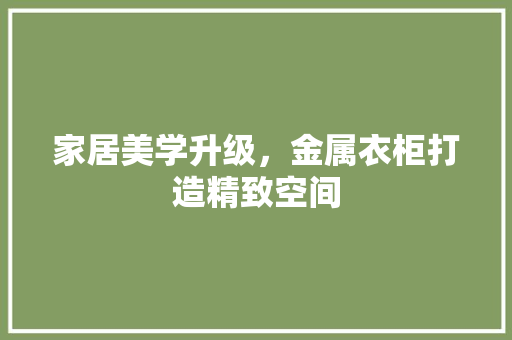 家居美学升级，金属衣柜打造精致空间