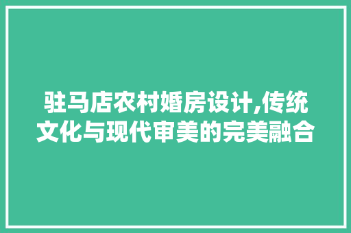 驻马店农村婚房设计,传统文化与现代审美的完美融合 庭院装修