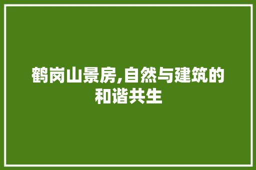 鹤岗山景房,自然与建筑的和谐共生