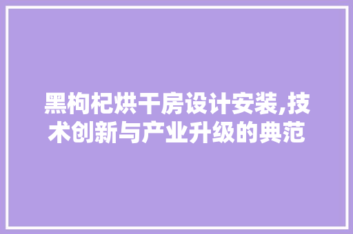 黑枸杞烘干房设计安装,技术创新与产业升级的典范