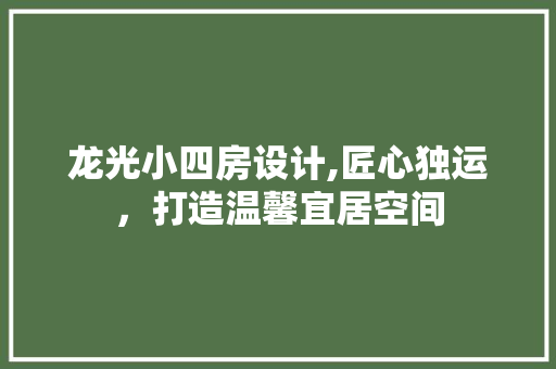 龙光小四房设计,匠心独运，打造温馨宜居空间