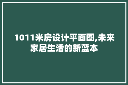 1011米房设计平面图,未来家居生活的新蓝本