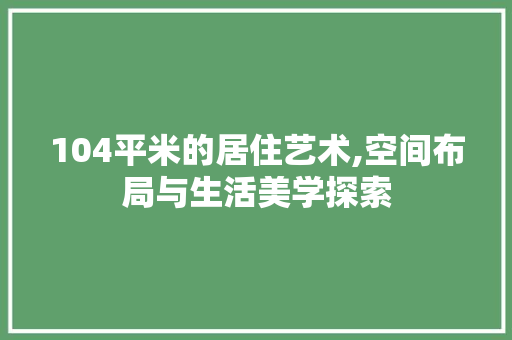 104平米的居住艺术,空间布局与生活美学探索 装修攻略