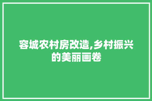 容城农村房改造,乡村振兴的美丽画卷 地面装修