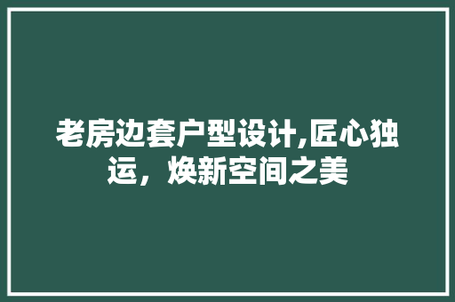 老房边套户型设计,匠心独运，焕新空间之美