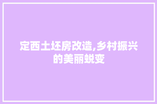 定西土坯房改造,乡村振兴的美丽蜕变