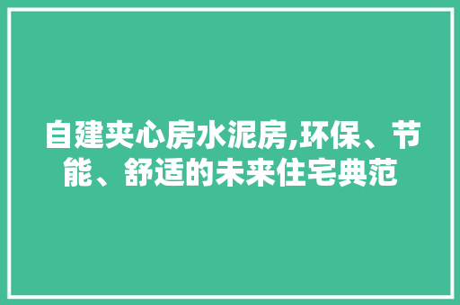 自建夹心房水泥房,环保、节能、舒适的未来住宅典范