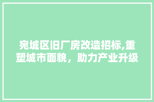 宛城区旧厂房改造招标,重塑城市面貌，助力产业升级