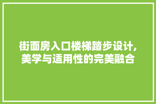 街面房入口楼梯踏步设计,美学与适用性的完美融合