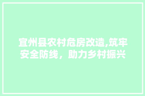 宜州县农村危房改造,筑牢安全防线，助力乡村振兴