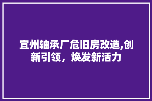 宜州轴承厂危旧房改造,创新引领，焕发新活力