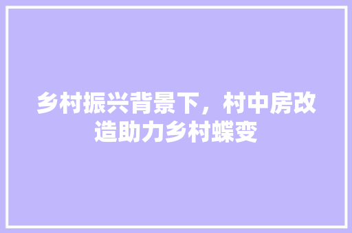 乡村振兴背景下，村中房改造助力乡村蝶变