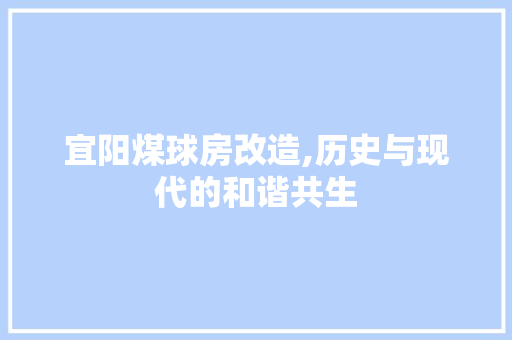 宜阳煤球房改造,历史与现代的和谐共生 地面装修