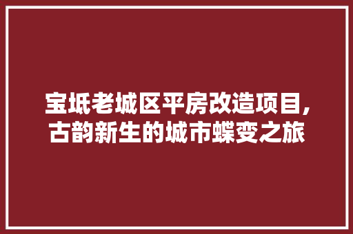宝坻老城区平房改造项目,古韵新生的城市蝶变之旅