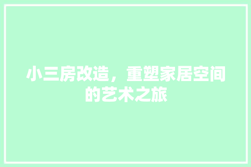 小三房改造，重塑家居空间的艺术之旅