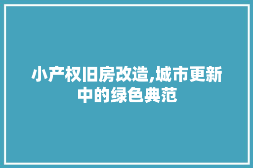 小产权旧房改造,城市更新中的绿色典范