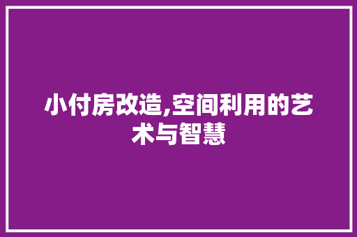 小付房改造,空间利用的艺术与智慧