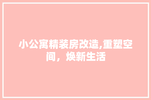 小公寓精装房改造,重塑空间，焕新生活