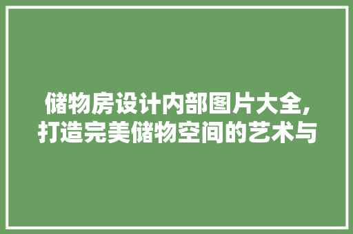 储物房设计内部图片大全,打造完美储物空间的艺术与科学